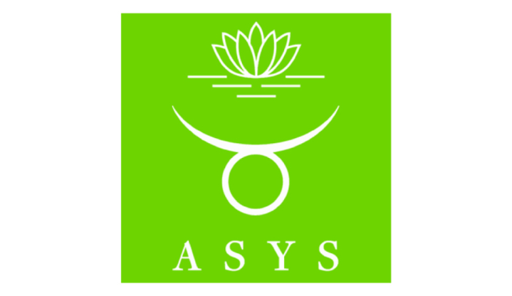 Asys Logo